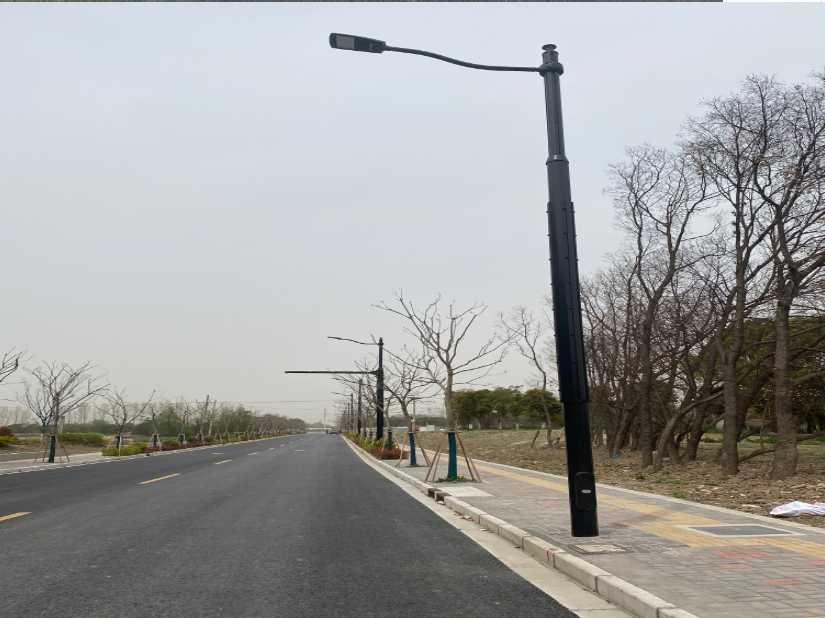 盐亭县上海综合杆 太阳能路灯工程